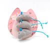 Catnip Toys Cat Toys Little Mouse Style Toys 16pcs