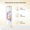 Pantene PRO-V Anti-Breakage Shampoo
