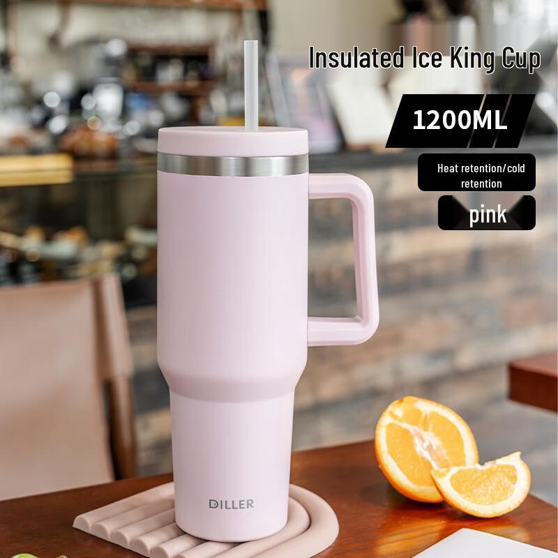 

Dileber Stainless Steel Insulated Tumbler