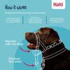 Licol anti-traction pour chien - Halti - Taille 4 - Orange Brûlé - Muserolle rembourrée - Éléments réfléchissants