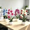 Butterfly Orchid Wedding Table Centerpiece With Plastic Material For Photography And Decor