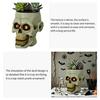 Skull Flower Pot Resin Human Skull Planter Halloween Candy Bowl Gothic Plant Pot for Succulents Home Office Desk Decoration