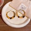 Maillard coffee amber earrings women's light luxury niche stud earrings commuter ear jewelry