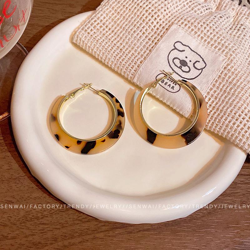 Maillard coffee amber earrings women's light luxury niche stud earrings commuter ear jewelry