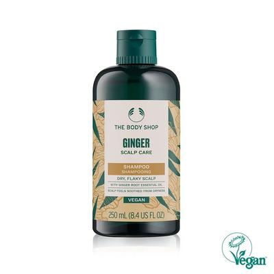 Ingwer Kopfhautpflege Shampoo 250ML (42556)