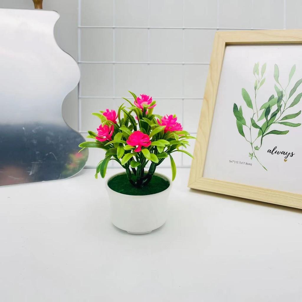 Camellia Artificial Sasanqua Bonsai For Photography Backdrops And Decor Indoor