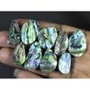 9Pcs Abalone Shell Fancy Cabochon Loose Natural Gemstone 160Cts. Lot 20-21MM C-1707