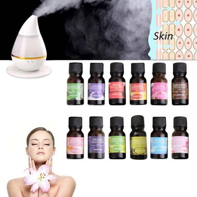 10 ml Přírodní rozpustnost ve vodě Čistý esenciální olej Terapeutická rostlina Aromatický