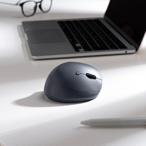 SANWA SUPPLY MA-EWBS522BK Silent Wireless Compact Ergonomic Mouse (Rechargeable, 5 Buttons, Black)