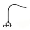 Flexible Snake Tube Phone Stand Clamp with 360 Rotation 4 Length Option 17.4mm Universal for Desktop Bedside Mounting