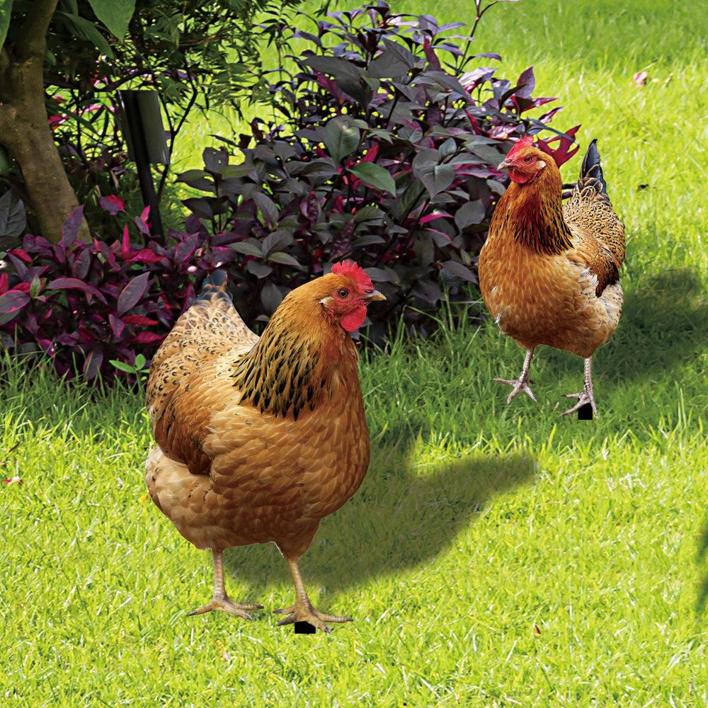 YKLU090 3D Slepice Nádvoří Pozemní Umění Venkovní Zahradní Zrcadlová Dekorace