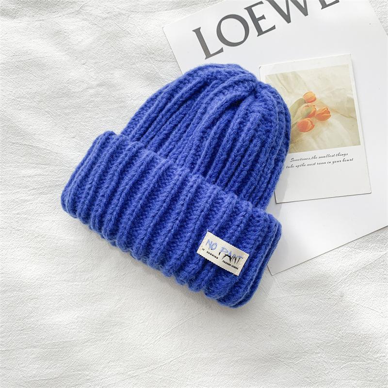 Fashion Cloth Label Knitted Baotou Cap Women's Cycling Travel Versatile Ear Protector Pullover Wool Cap