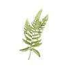 Beautiful Plant Pins Metal Brooches Nature Theme Jewelry Unique Badges Alloy Texture Suitable for Party and Everyday Use
