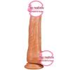 Rome Silicone Realistic Dildo – Electric Female Masturbation Toy