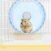 Hamster Running Wheel Guinea Pig Accessories Hedgehog Mouse Toys Large Plastic Wheels Chinchilla