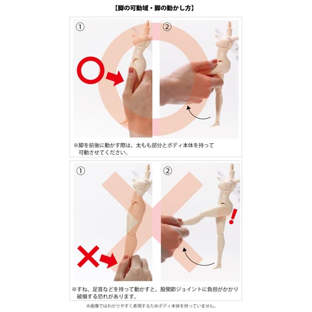 1/6 AZONE Q'z BODY M/I Bust AOB018-WHT