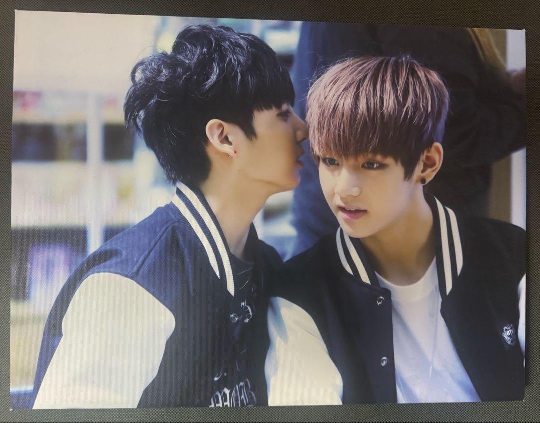 

[Б/У] BTS Чонгук и Ви Панель Холст Материал