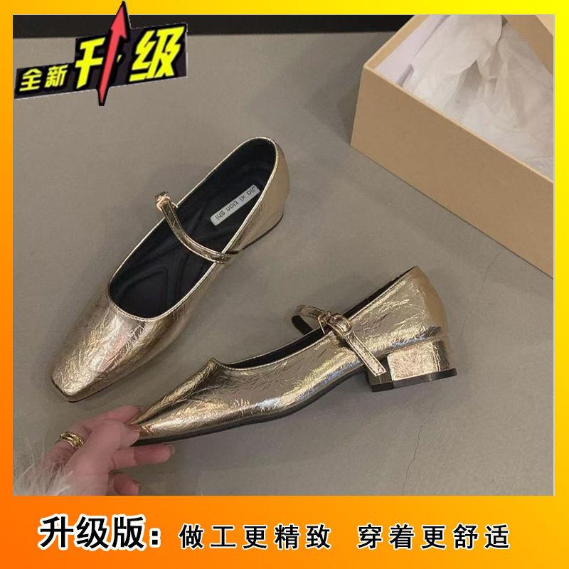 Fashion temperament with skirt single shoes women's shoes 2025 new spring and autumn heightened thick heel Mary Jane shoes small leather shoes