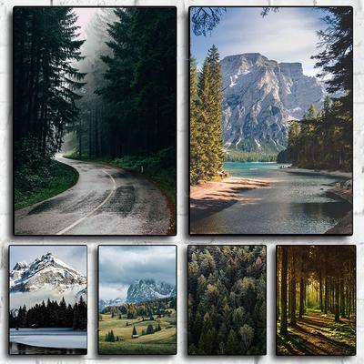 Schöne Dunkelgrüne Wald Neblige Berglandschaft Natur Szenerie Poster Leinwandbild Wandkunst Bilder Heim Raum Dekor