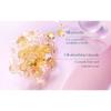 Florasis - Butterfly Glitter Lidschatten-Palette mit 4 Farben - 2 Typen