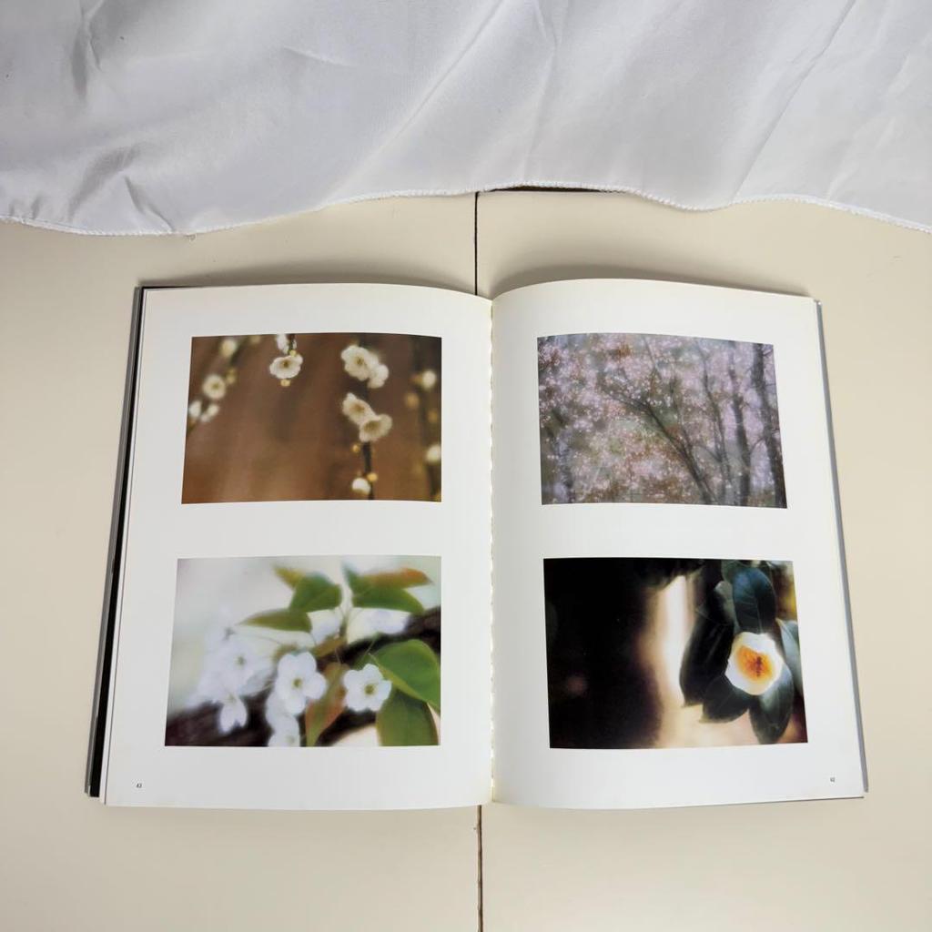 [USED] Contemporary Japanese Art Collection Set