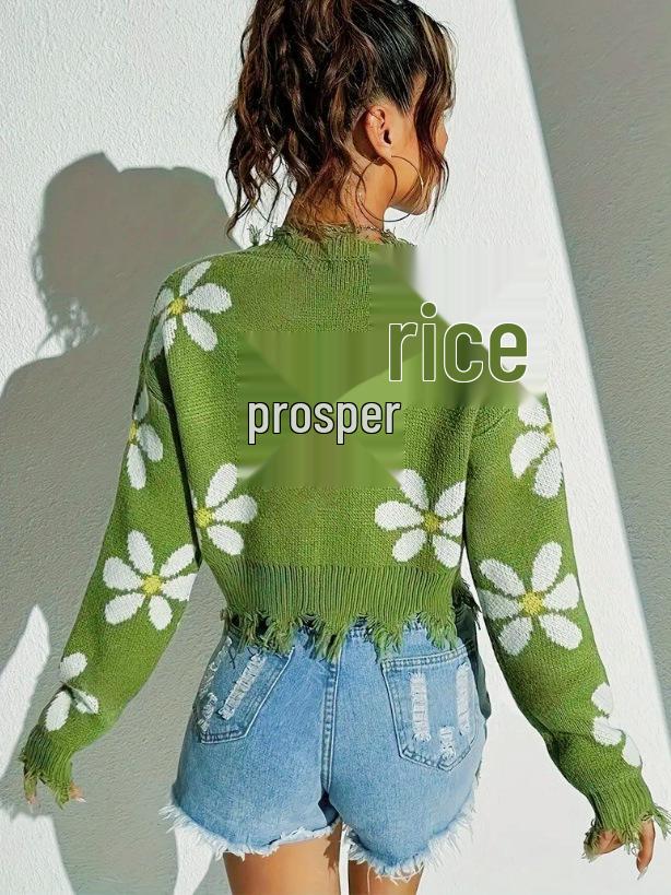 Women's European Daisy Jacquard V-Neck Sweater - Raw Hem, Loose Fit, Long Sleeve, Autumn/Winter Style