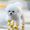 Thicken Silicone Dog Rain Shoes Cute Waterproof Easy To Clean Velcro Small Dog Shoes Anti Slip and Wear-resistant Pet Products