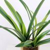 1Pc Fake Flower Shopping Mall Decoration Soft Rubber Home Decor Simulation Green Plants DIY Artificial Cymbidium Leaves Plastic