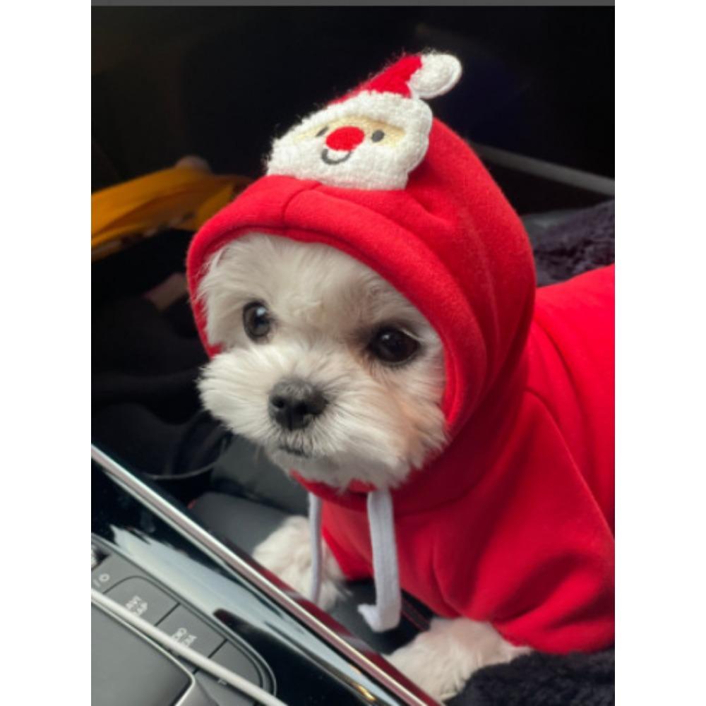 Pet dog cat sweater autumn and winter new teddy fight medium dog Christmas cat supplies clothes