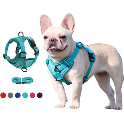 Puppy Dog Harness Vest and Leash Set Adjust Nylon Cat Harness Reflective Breathable Mesh Pet Chest Straps for Small Medium Dogs