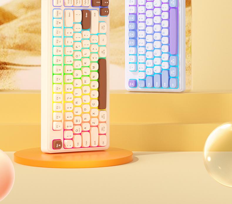 BOW Hangshi K520U Wired RGB Keyboard for Laptops & Desktops, Girls Typing Edition