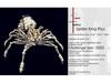 Spider King Plus 3D Metal Puzzle: Mechanical Insect Assembly Toy for Kids
