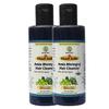 Herbigiri Herbal Herbigiri Herbal Shampoo Amla e Bhringraj - 210 ml - Set da 2