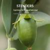 Stenders Jojoba Body Oils 150ml