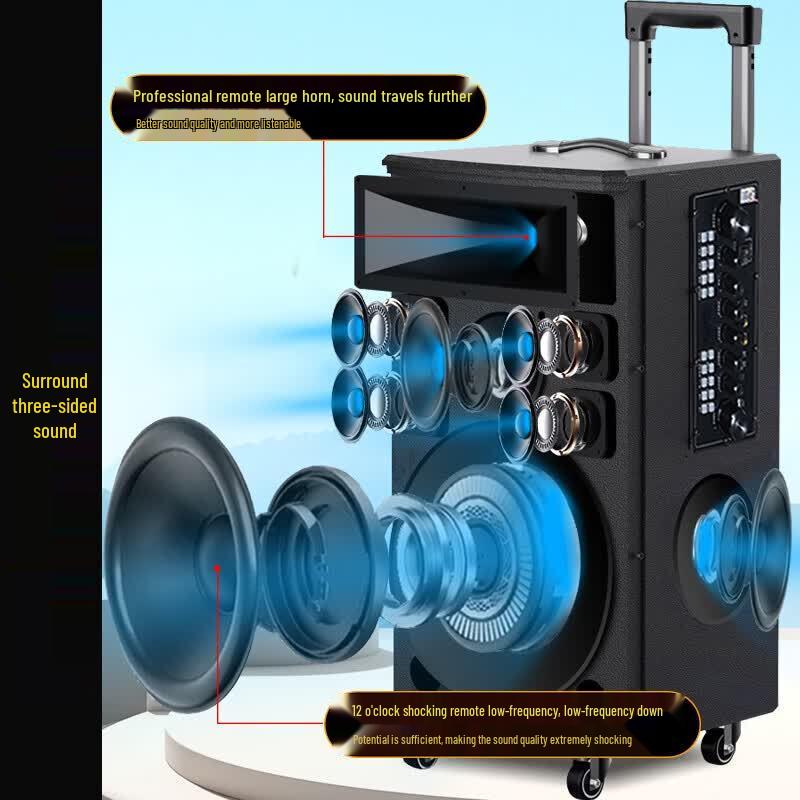 SANSUI TE12 12-inch Portable Outdoor Karaoke Speaker (CN Version)
