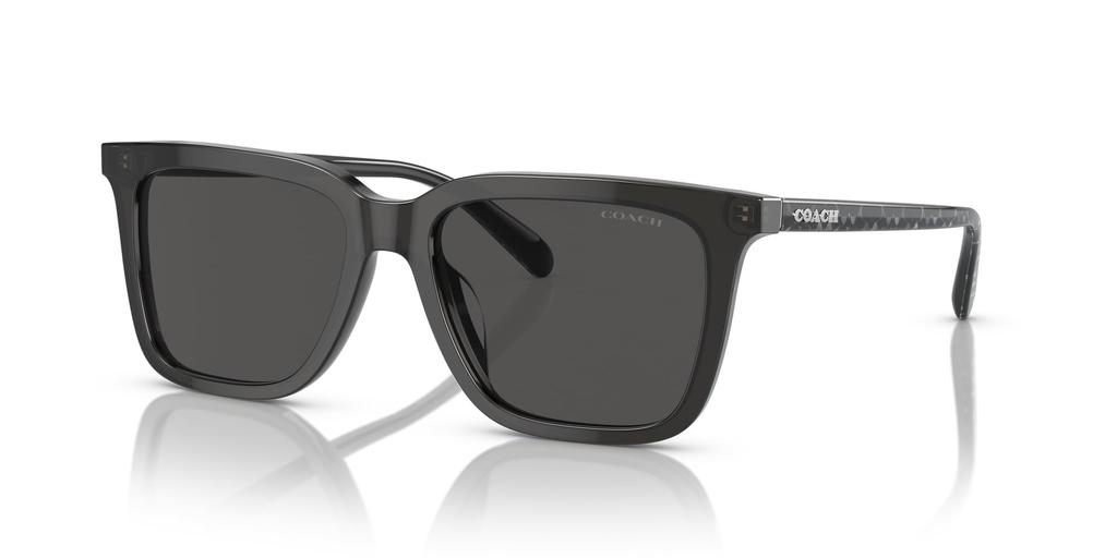 Sunglasses HC8385U CL910 TRANSPARENT DARK GRAY 54 [Coach]