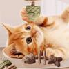Natürliches Katzen-Kauspielzeug Fischgrätenform Katzenminze Silberrebe Kauspielzeug Zahnpflege Zahnreinigung Stick für Katzen Interaktives Spiel Mundgesundheit