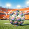 Fotbal – Fotbalové míče