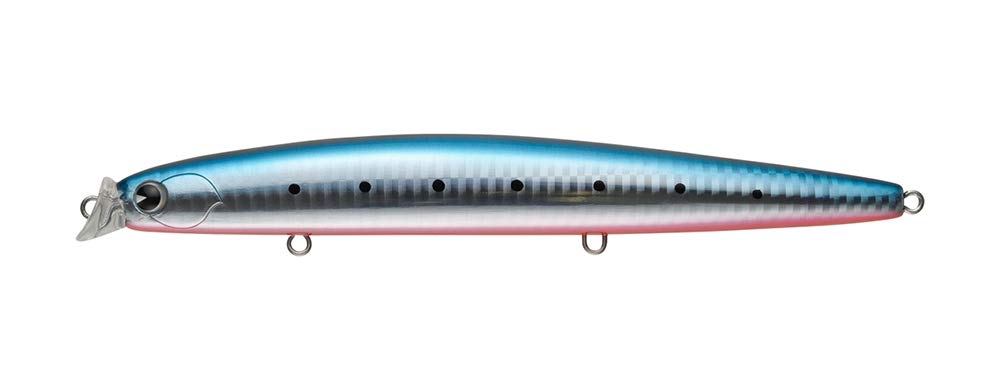 

Ams Design Kosuke 170F Mako Iwashi Lure (ima) (#KK170-006)