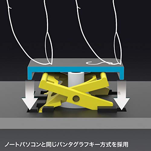 Sanwa Supply Keyboard Wireless USB Connection Rechargeable Slim Black Type-C SKB-WL31CBK