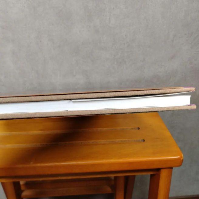 [USED] MODIGLIANI ALFRED WERNER Modigliani Collection English Books