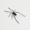 Lifelike Texture Big Spider Fridge Magnet Funny Prank Horror Magnetic Ornament 1Pcs for Kitchen Home Decor