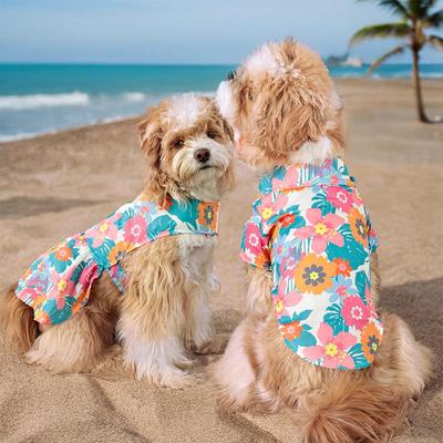 Giyim ve ayakkabı – Köpekler için yelekler ve gömlekler