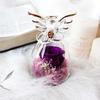 Ins Style Angel Preserved Rose Glass Dome