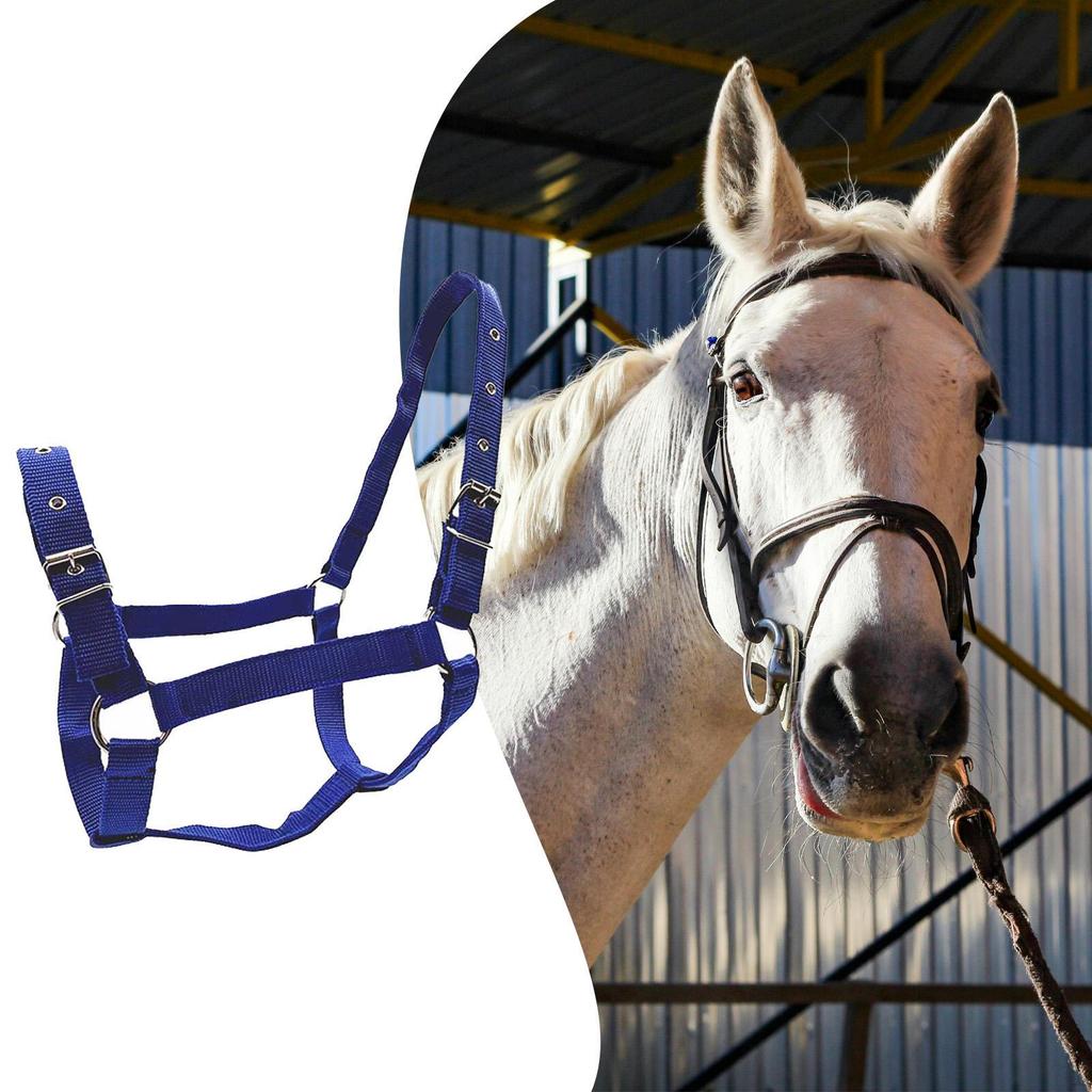 Adjustable Nylon Halter for Horses, Comfortable Accessory, Training Equipment Tournaments,
