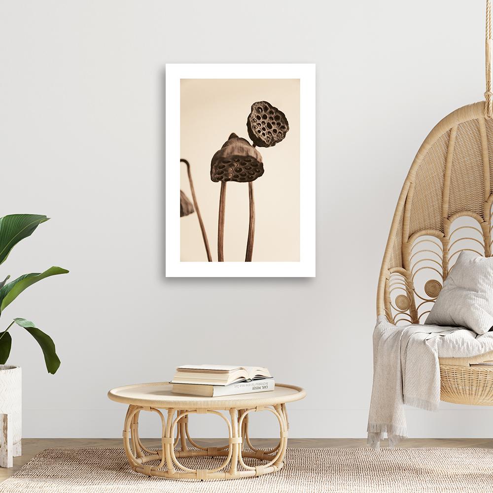 Canvas print, Dried lotus flowers