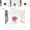 Plastic Veronicastrum Caulopterum Flower Pot With Rope Butterfly Tie For Home Decor And Garden Display