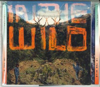 

CD FALTYDL - In The Wild BRC431PROMO NINJATUNE Japan Obi Dance & Electronica Used