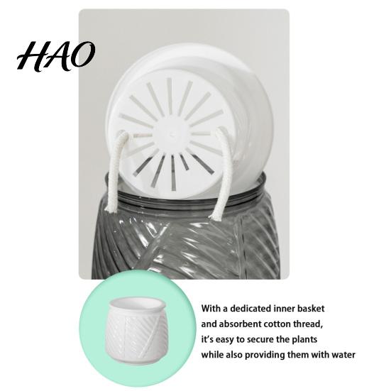 Small Flower Pot for Desk Self Watering Planter with Wick Rope Indoor Plants, Double Layer Modern Decorative Container Transparent Hydroponic Planter,