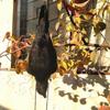Stimulated Realistic Hanging Crow Black Feathered Bird Halloween Bar Ornaments Scary Prop Outdoor Scarecrow Garden Yard Decor